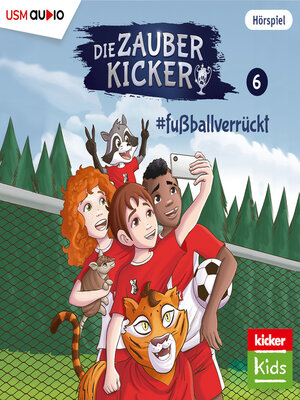 cover image of Die Zauberkicker, Folge 6